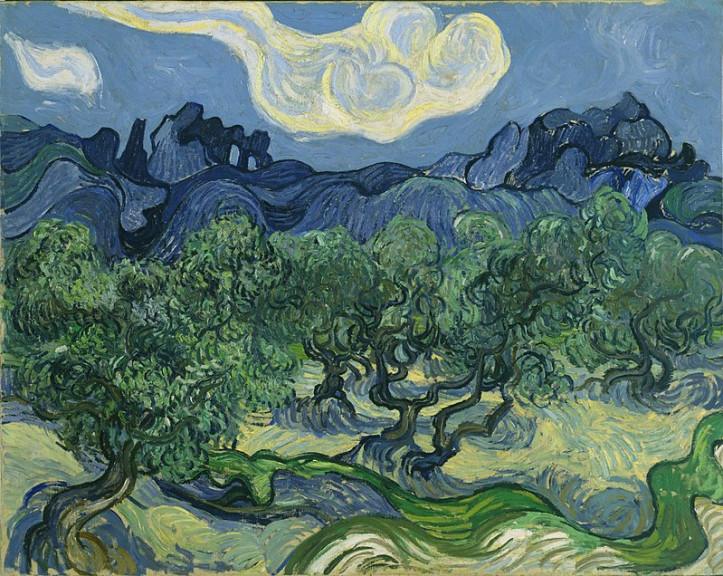   Vincent van Gogh, „Drzewa oliwne z Alpilles w tle”, źródło: pl.wikipedia.org (domena publiczna)
