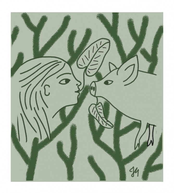 ilustracja: Joanna Grochocka