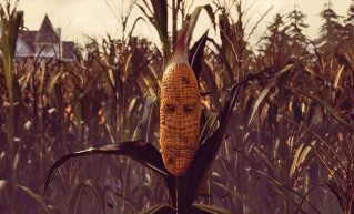 Maize
