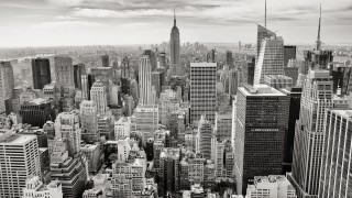 Difficult Journeys in New York