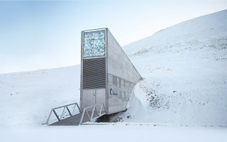Najważniejsza lodówka świata