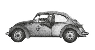 O małpach i autach