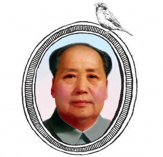 Mao i wróble ♫