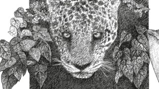 Pismo Boga (audio)