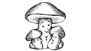 A Cap and a Stem. The Culinary Rewards of Mushroom Foraging ♫