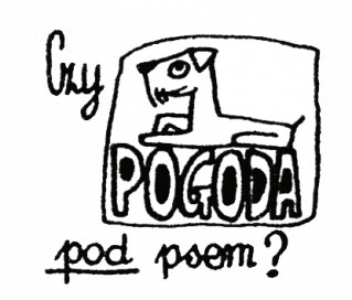 Czy pogoda pod psem? – 4/2019