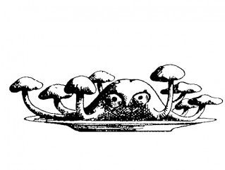 Kiszony sos chili