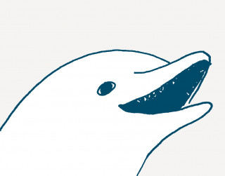 Bohater numeru – Delfin