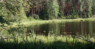 Woda – za dużo i za mało