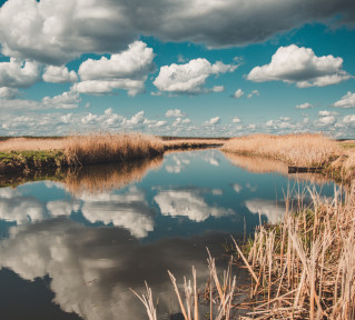 Biebrza i Narew z lotu ptaka