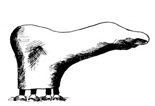 Amputacja