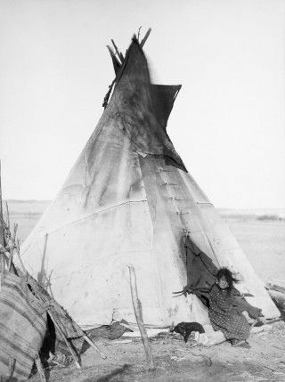 Typowe tipi