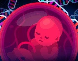 Genetic Engineering