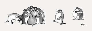 medición de pingüino