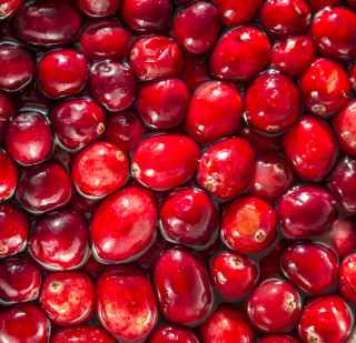 A Craving for Cranberries