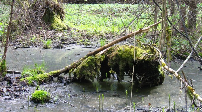 Bagno wciąga!