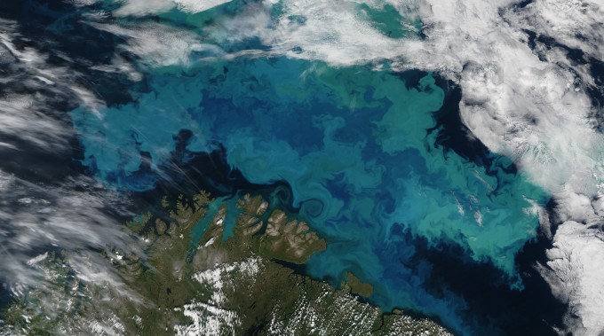 Zimna gorączka na Morzu Barentsa