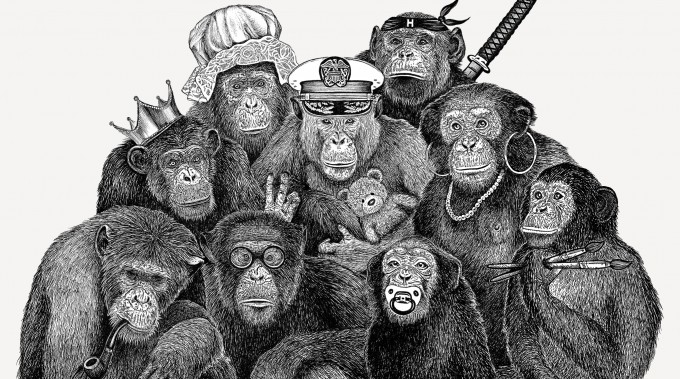 The Rise and Fall of a Chimpanzee Matriarchy