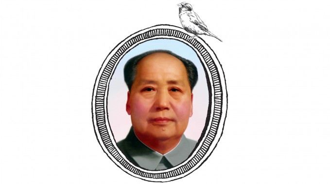 Mao i wróble ♫