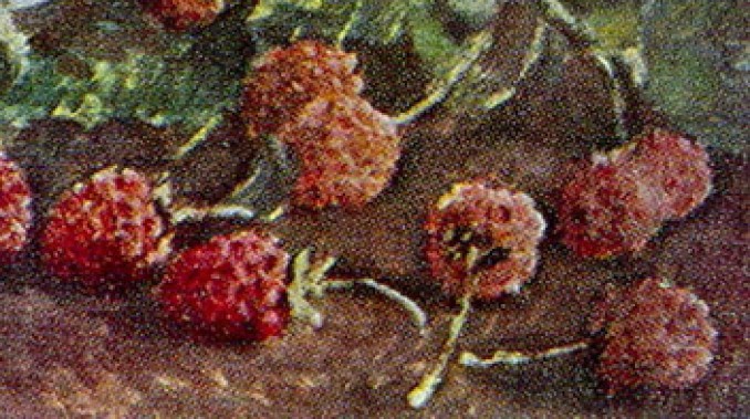 Zmartwychwstanie