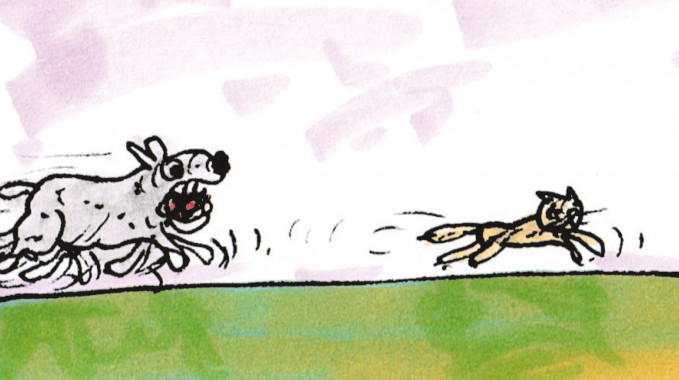 Can Cats and Dogs Ever Get Along?