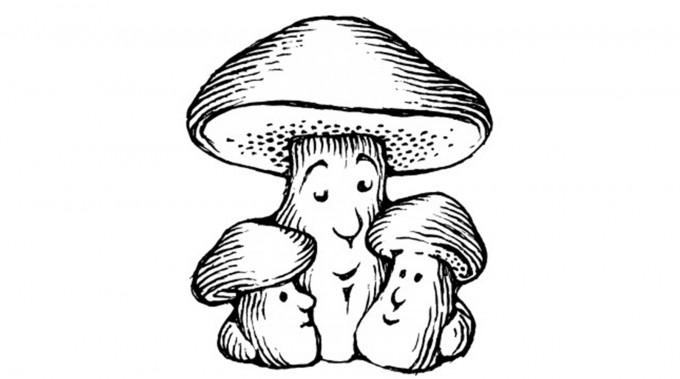 A Cap and a Stem. The Culinary Rewards of Mushroom Foraging ♫