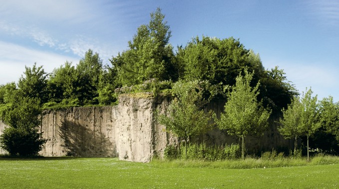 In Hope of a Garden