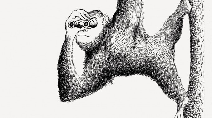 Miłosierny bonobo