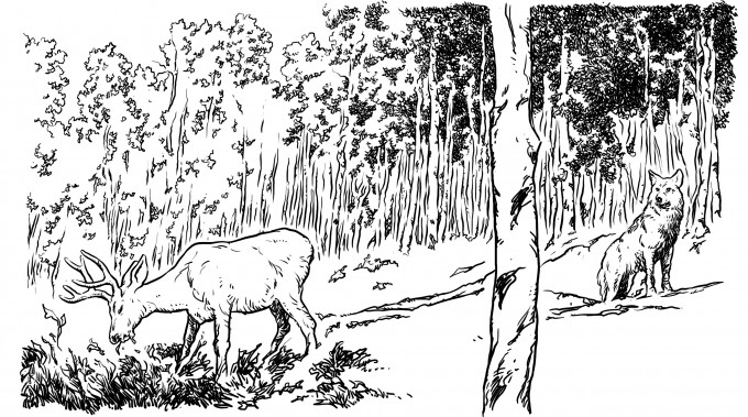 Pando wielki