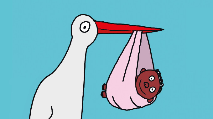 The Pious Bird