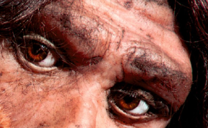 6% neandertalczyka