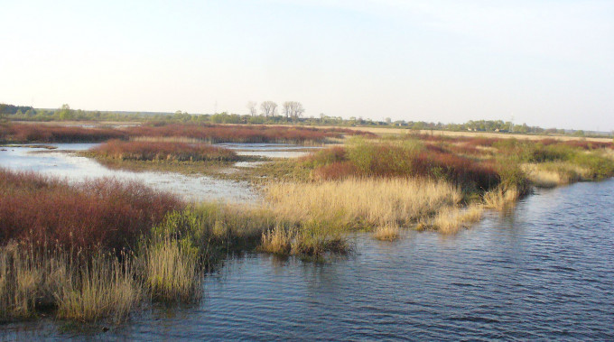 Ratujmy Biebrzański Park Narodowy