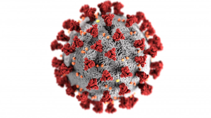 Of Viruses and Men