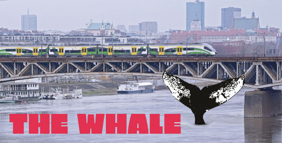 Watch the Documentary “The Whale”!