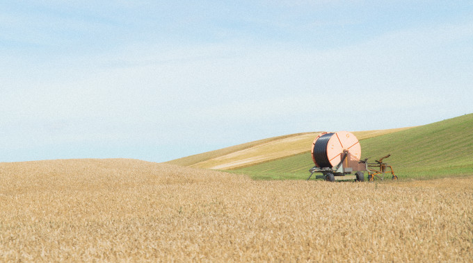 Alone in the Bosom of Nature
