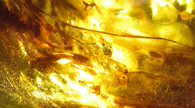Tears of the Sun