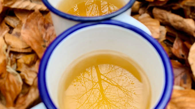 The Chemistry of Tea
