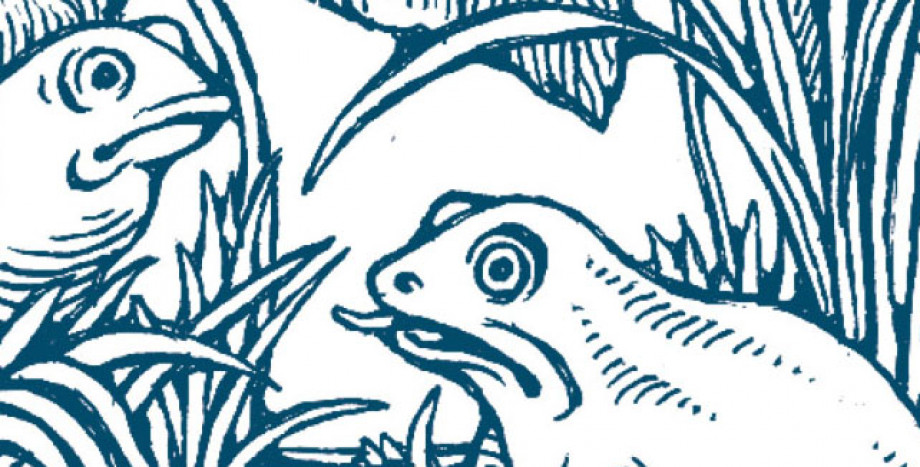 Chatty Nature