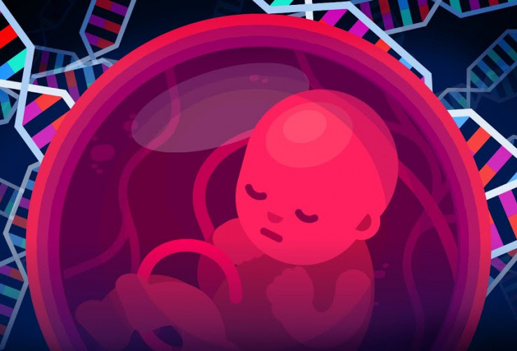 Genetic Engineering