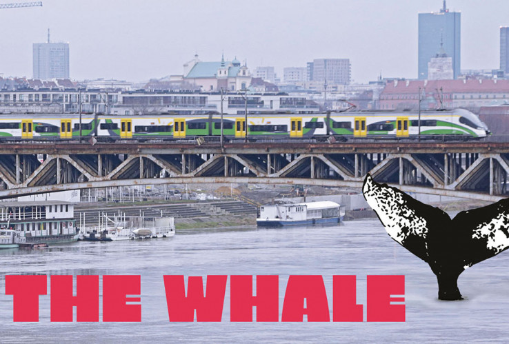 Watch the Documentary “The Whale”!