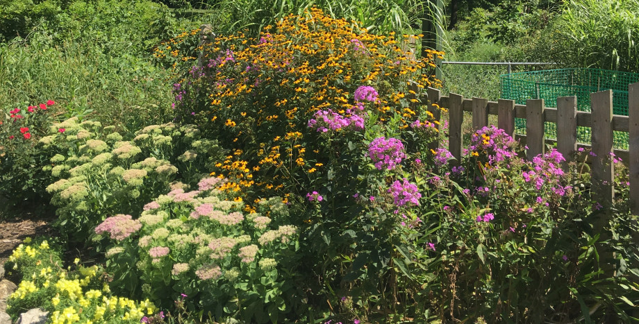 Humans Need Nature to Blossom