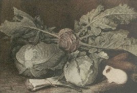 Kapusta w mitologii greckiej