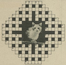 Krzyżówka z kociakiem (nr 662-64/1957)