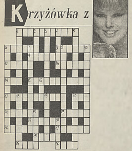 Krzyżówka z kociakiem (nr 2299/1989 r.)
