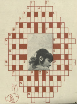 Krzyżówka z kociakiem (nr 1007/1964 r.)