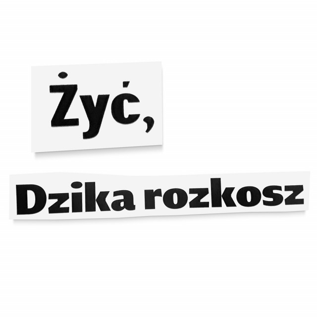 Obrazek