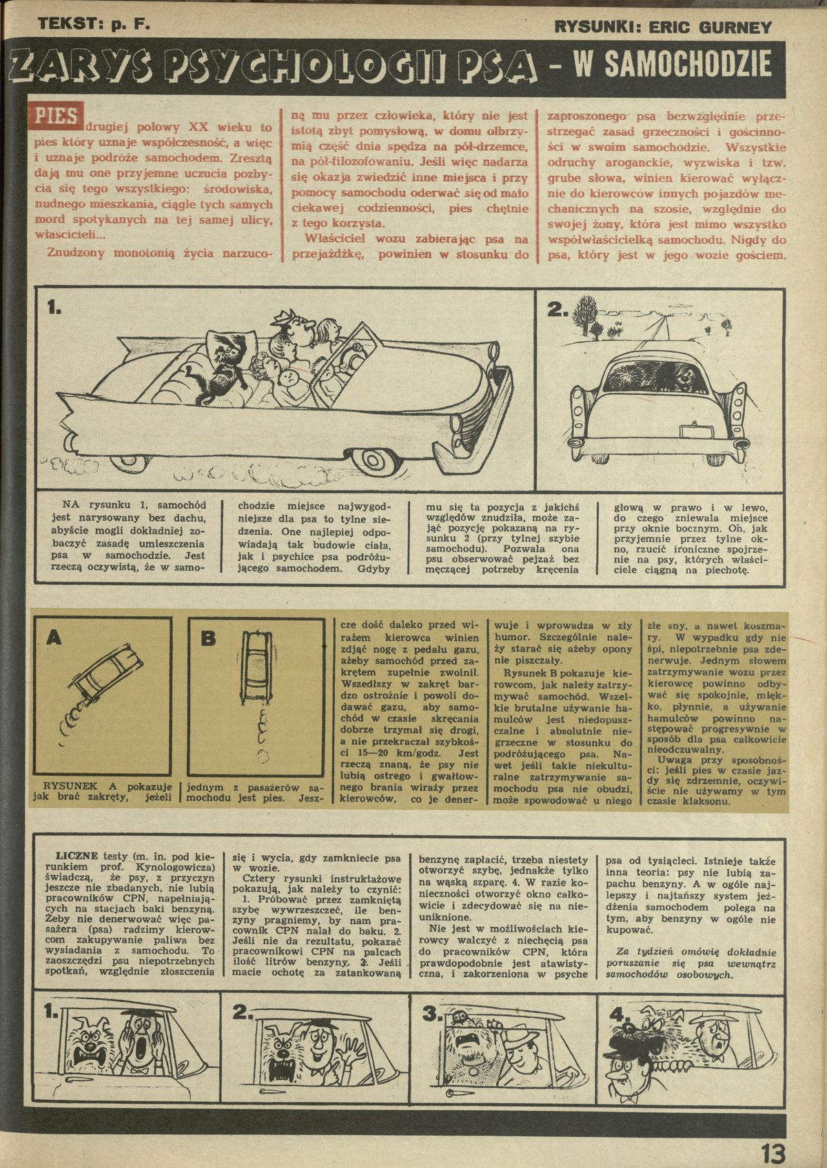 Zarys Psychologii Psa 9 June 1963 Archiwum Przekrój