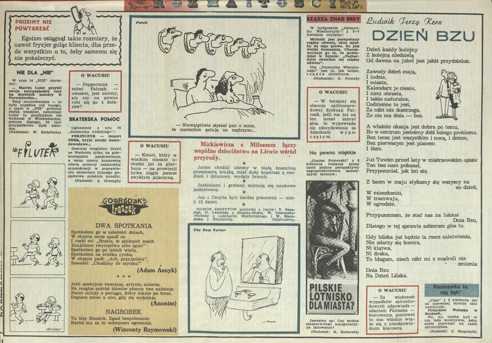 Obrazek