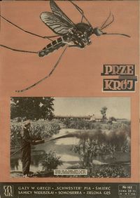 okładka numeru 185/1948
