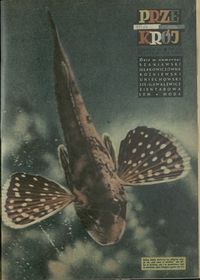 okładka numeru 483/1954